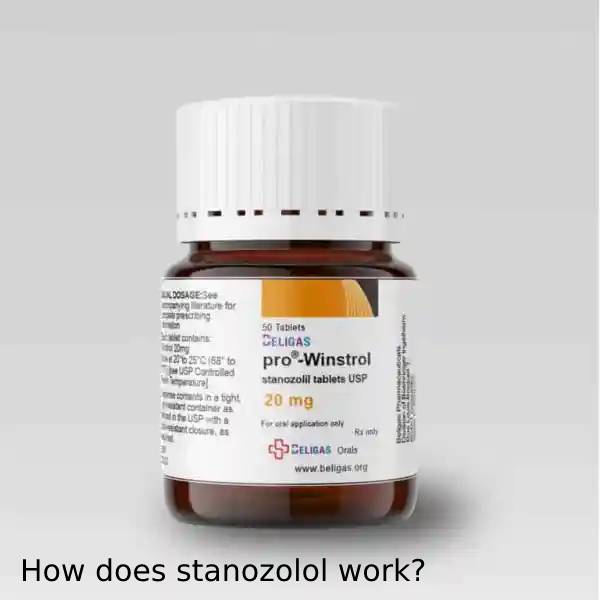 How does stanozolol work?