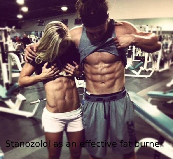 Stanozolol as an effective fat burner